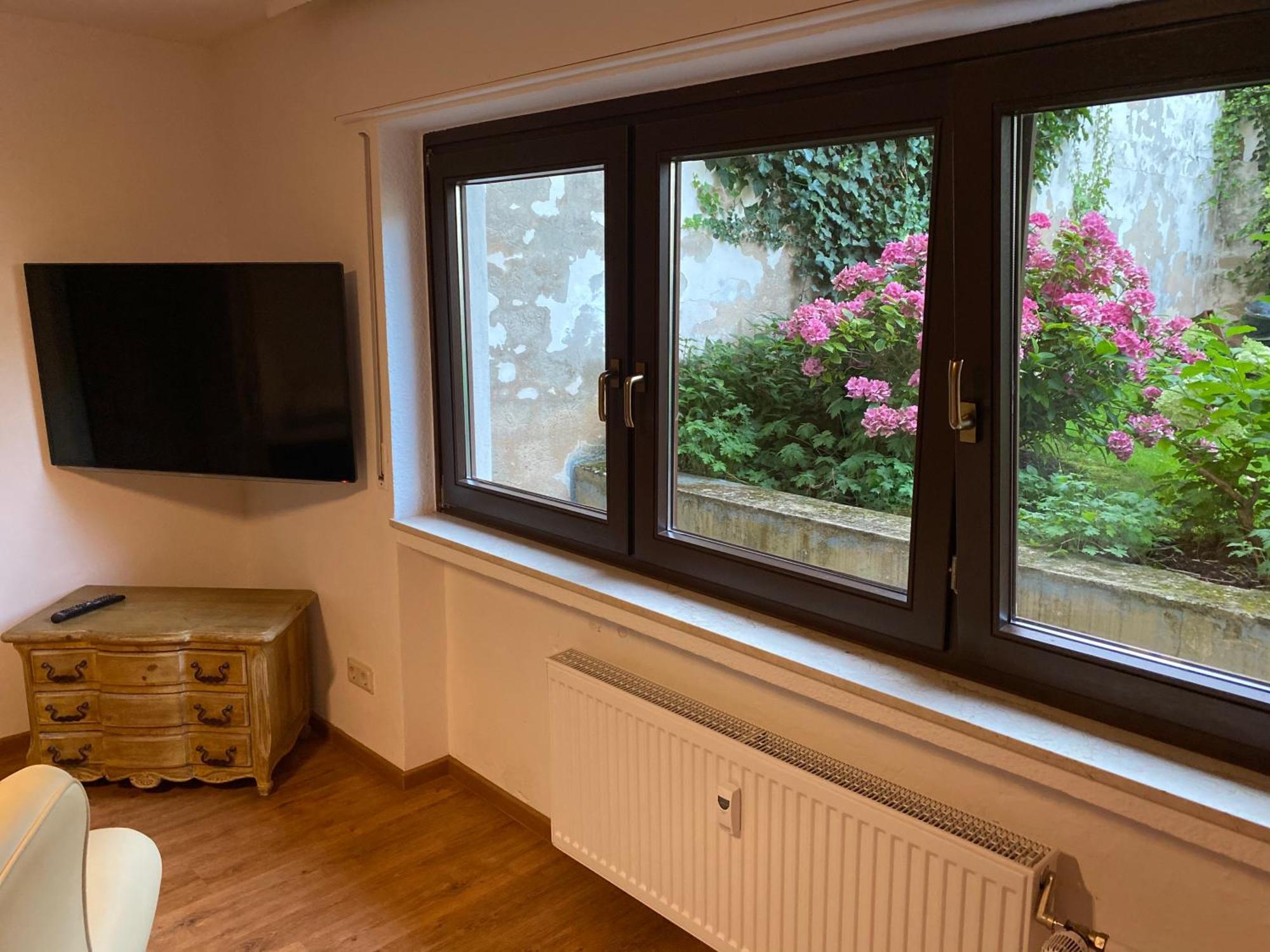 Apartmenthaus Eurenerstrasse 179 Трир Экстерьер фото